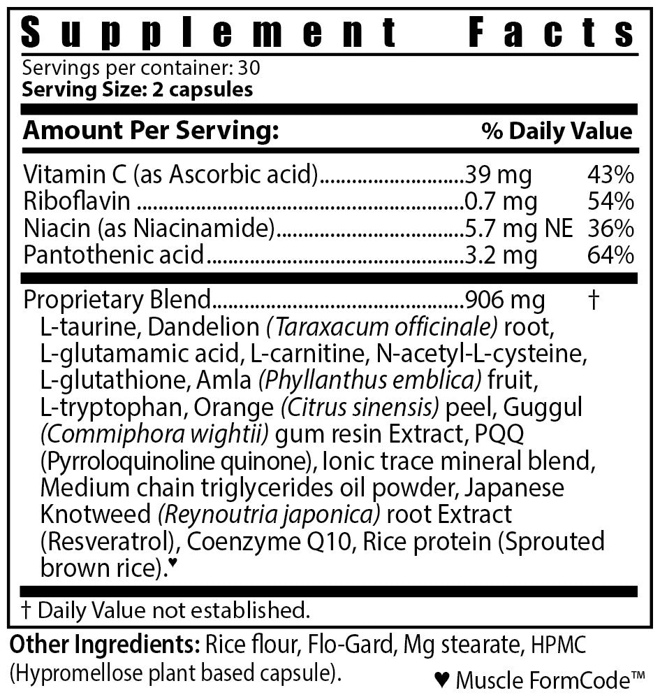 Mitokond Energy Support