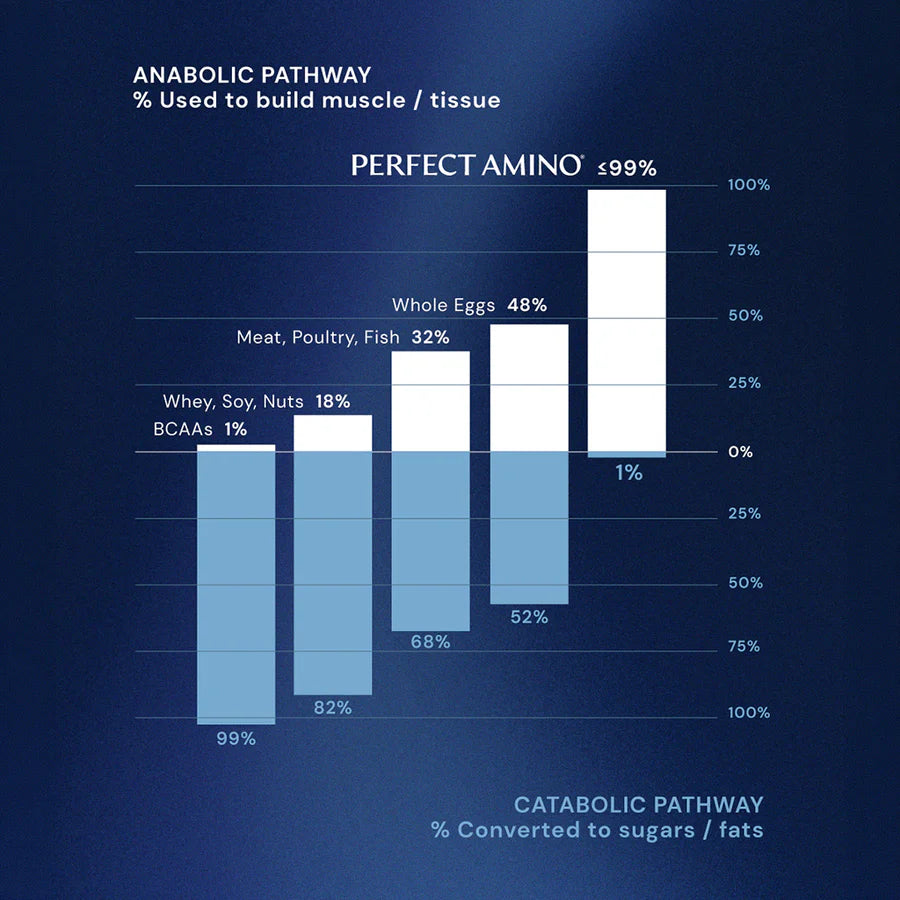 PerfectAmino – Essential Amino Acids  (strawberry)