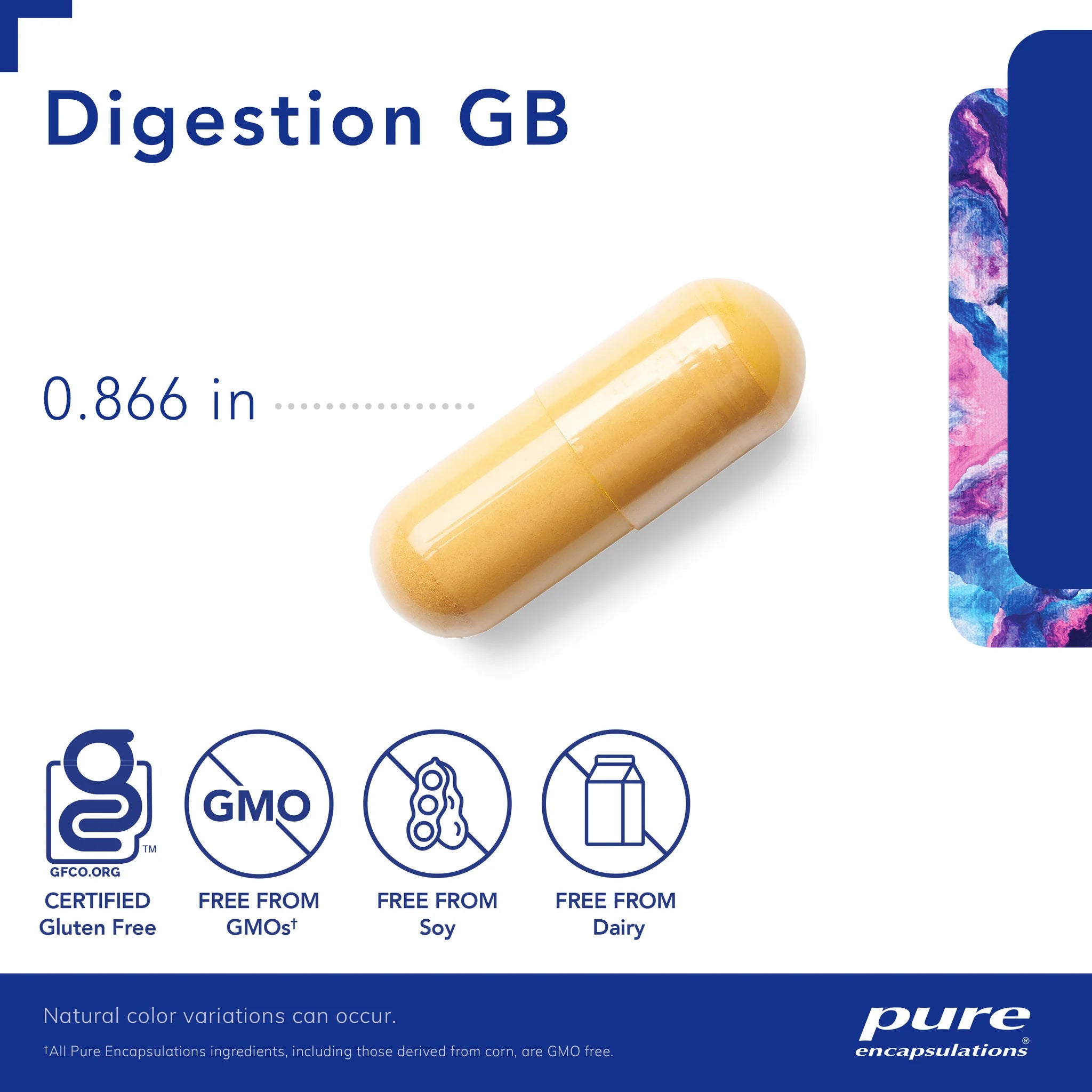 Digestion Gallbladder