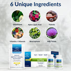 7 Day Detox Protocol