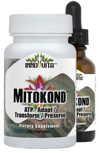 Mitokond Energy Support