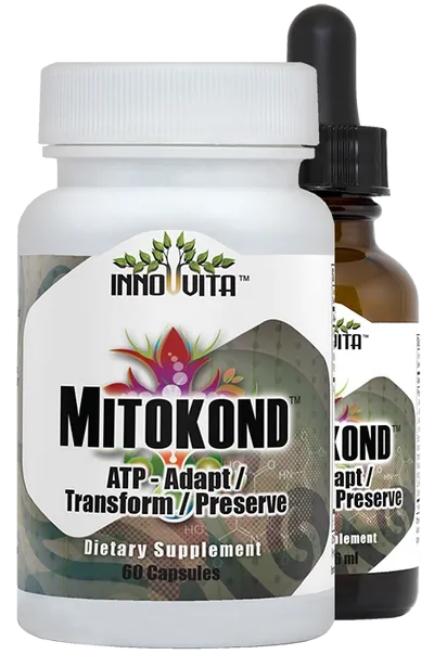 Mitokond Energy Support